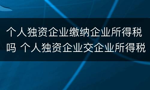 个人独资企业缴纳企业所得税吗 个人独资企业交企业所得税吗