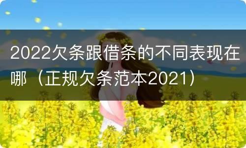 2022欠条跟借条的不同表现在哪（正规欠条范本2021）