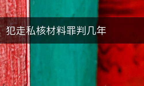 犯走私核材料罪判几年