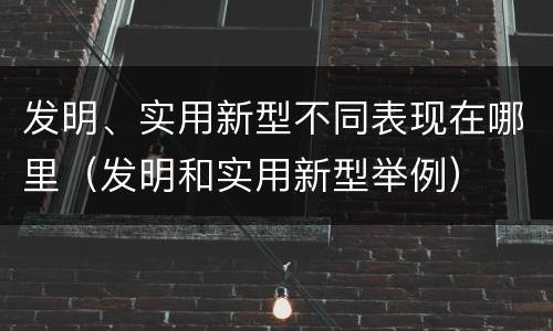 发明、实用新型不同表现在哪里（发明和实用新型举例）