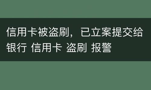 信用卡被盗刷，已立案提交给银行 信用卡 盗刷 报警