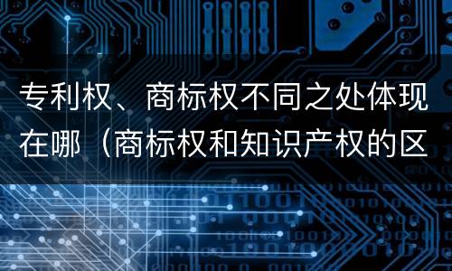 专利权、商标权不同之处体现在哪（商标权和知识产权的区别）