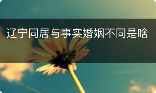 辽宁同居与事实婚姻不同是啥