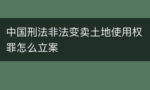 中国刑法非法变卖土地使用权罪怎么立案