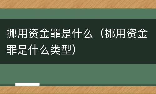 挪用资金罪是什么（挪用资金罪是什么类型）