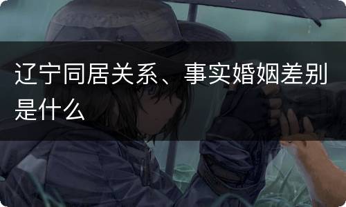 辽宁同居关系、事实婚姻差别是什么