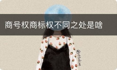 商号权商标权不同之处是啥