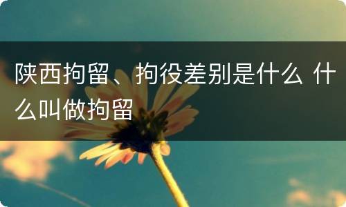 陕西拘留、拘役差别是什么 什么叫做拘留