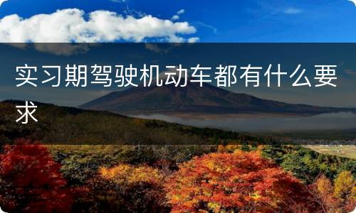 实习期驾驶机动车都有什么要求
