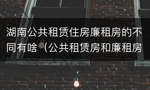 湖南公共租赁住房廉租房的不同有啥（公共租赁房和廉租房）