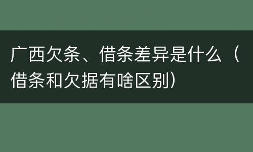 广西欠条、借条差异是什么（借条和欠据有啥区别）