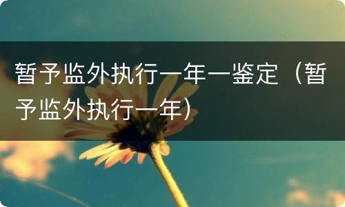 暂予监外执行一年一鉴定（暂予监外执行一年）