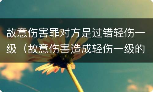故意伤害罪对方是过错轻伤一级（故意伤害造成轻伤一级的判刑和赔偿金额）