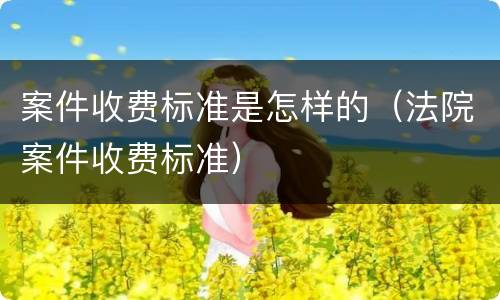 案件收费标准是怎样的（法院案件收费标准）