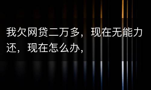 我欠网贷二万多，现在无能力还，现在怎么办，