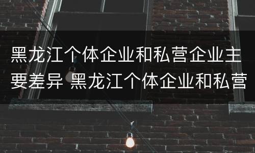 黑龙江个体企业和私营企业主要差异 黑龙江个体企业和私营企业主要差异是什么