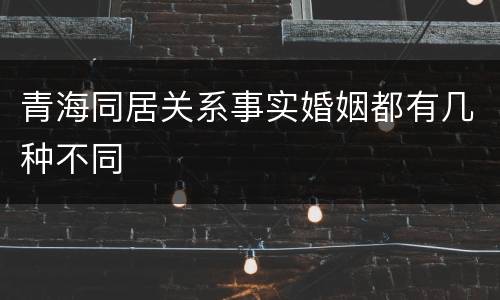 青海同居关系事实婚姻都有几种不同