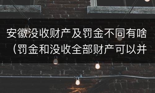 安徽没收财产及罚金不同有啥（罚金和没收全部财产可以并用吗）