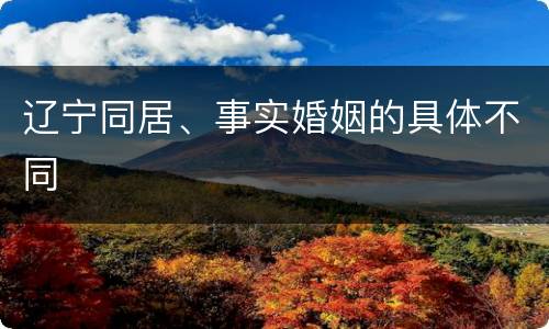 辽宁同居、事实婚姻的具体不同