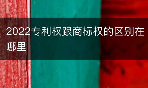 2022专利权跟商标权的区别在哪里