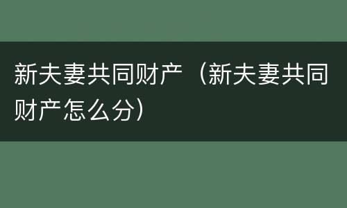新夫妻共同财产（新夫妻共同财产怎么分）