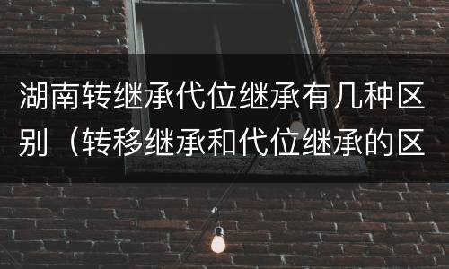 湖南转继承代位继承有几种区别（转移继承和代位继承的区别）