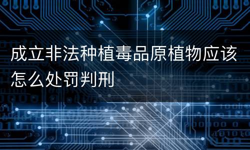 成立非法种植毒品原植物应该怎么处罚判刑