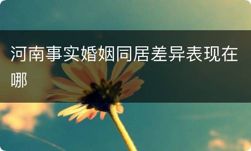 河南事实婚姻同居差异表现在哪