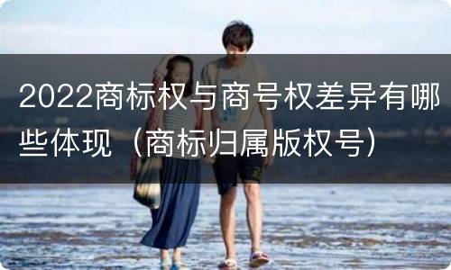 2022商标权与商号权差异有哪些体现（商标归属版权号）