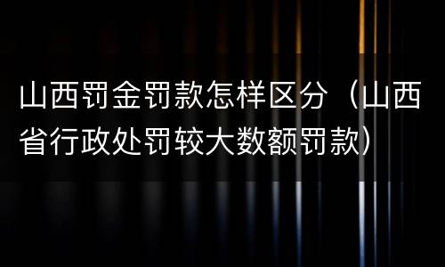 山西罚金罚款怎样区分（山西省行政处罚较大数额罚款）