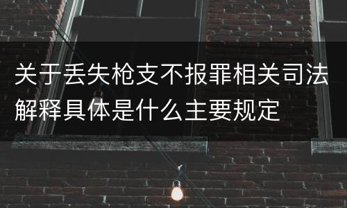 关于丢失枪支不报罪相关司法解释具体是什么主要规定