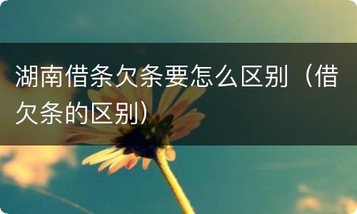 湖南借条欠条要怎么区别（借欠条的区别）