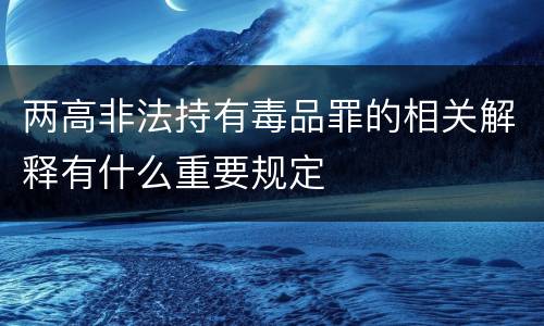 两高非法持有毒品罪的相关解释有什么重要规定