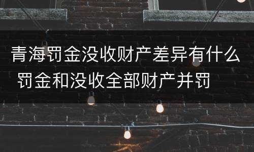 青海罚金没收财产差异有什么 罚金和没收全部财产并罚