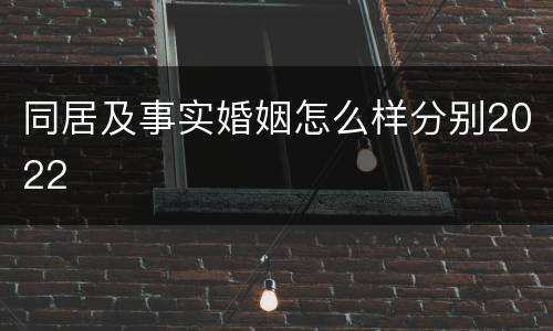 同居及事实婚姻怎么样分别2022
