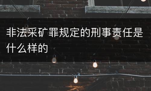 非法采矿罪规定的刑事责任是什么样的