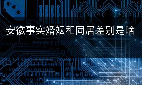 安徽事实婚姻和同居差别是啥