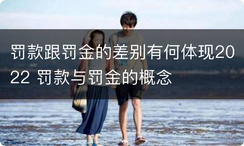 罚款跟罚金的差别有何体现2022 罚款与罚金的概念