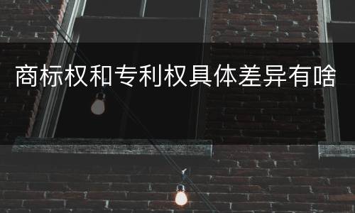 商标权和专利权具体差异有啥