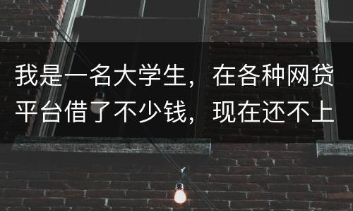我是一名大学生，在各种网贷平台借了不少钱，现在还不上，如果不还会怎么样