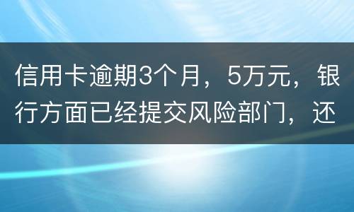 信用卡逾期3个月，5万元，银行方面已经提交风险部门，还不上什么办