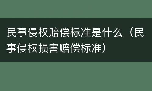 民事侵权赔偿标准是什么（民事侵权损害赔偿标准）
