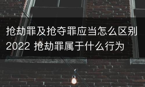 抢劫罪及抢夺罪应当怎么区别2022 抢劫罪属于什么行为
