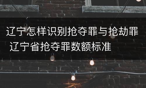 辽宁怎样识别抢夺罪与抢劫罪 辽宁省抢夺罪数额标准