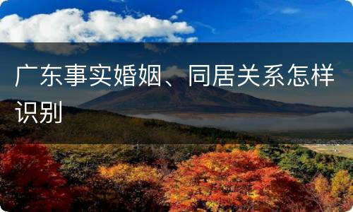 广东事实婚姻、同居关系怎样识别