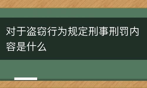 对于盗窃行为规定刑事刑罚内容是什么