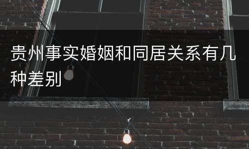 贵州事实婚姻和同居关系有几种差别