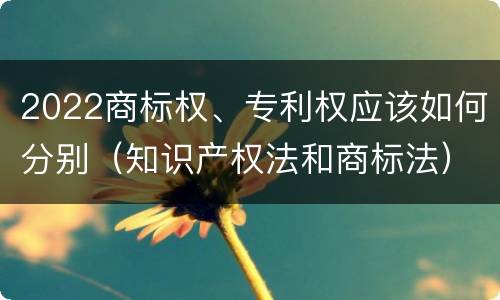 2022商标权、专利权应该如何分别（知识产权法和商标法）