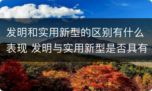 发明和实用新型的区别有什么表现 发明与实用新型是否具有实用性