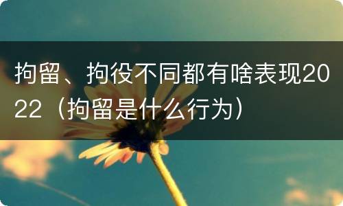 拘留、拘役不同都有啥表现2022（拘留是什么行为）
